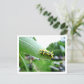 Carte postale Caterpillar (Debout devant)