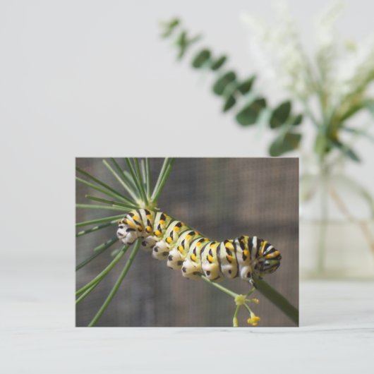 Carte postale Caterpillar (Debout devant)