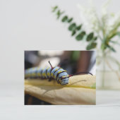 Carte postale Caterpillar (Debout devant)