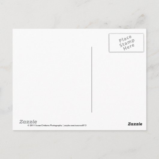 Carte postale Caterpillar (Dos)