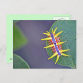 Carte postale Caterpillar. (Devant / Derrière)