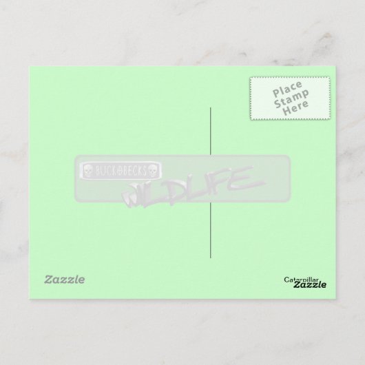 Carte postale Caterpillar. (Dos)