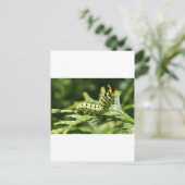 Carte Postale Caterpillar 2012 (Debout devant)