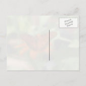 Carte postale Caterpillar / Caterpillar (Dos)