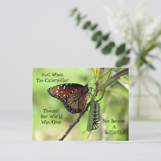 Carte postale Caterpillar / Caterpillar (Debout devant)