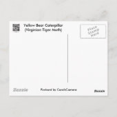 Carte Postale Caterpillar de l'ours jaune Tiger Moth Articles (Dos)