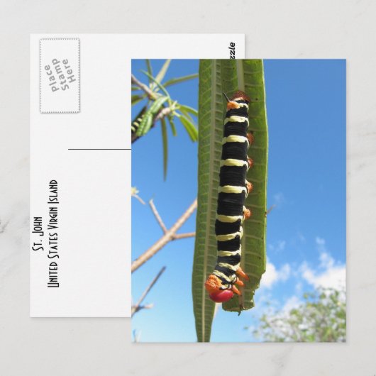 Carte Postale Caterpillar Escalade (Devant / Derrière)
