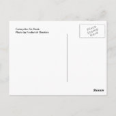 Carte Postale Caterpillar On Rock (Dos)