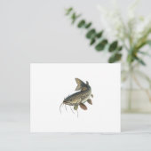 Carte Postale Catfish (Debout devant)