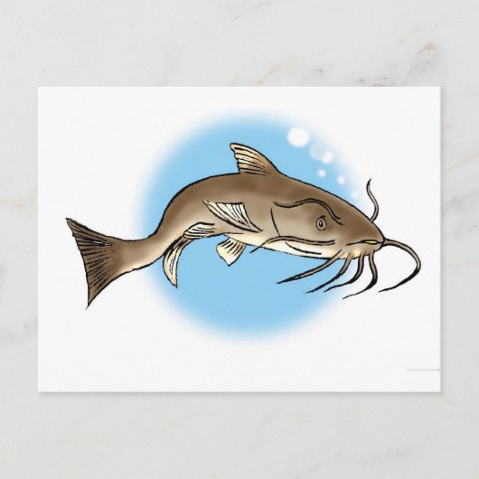 Carte Postale Catfish (Devant)