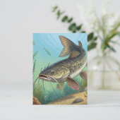 Carte Postale Catfish (Debout devant)