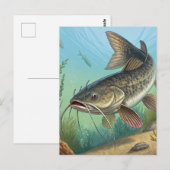Carte Postale Catfish (Devant / Derrière)