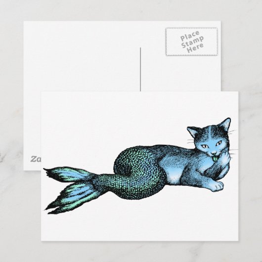 Carte Postale Catfish (Devant / Derrière)
