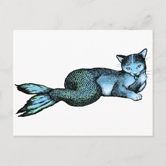 Carte Postale Catfish (Devant)