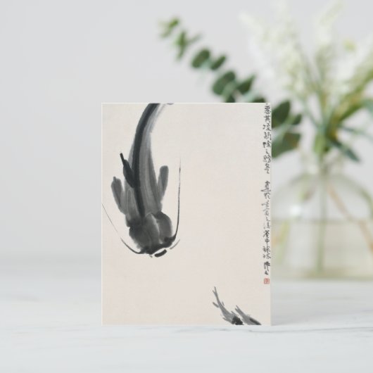 Carte Postale Catfish chinois (Debout devant)