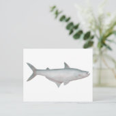 Carte Postale Catfish en silice (Debout devant)