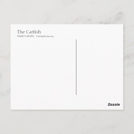 Carte postale Catfish - Style I (Dos)