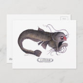 Carte Postale Catfish, tony fernandes (Devant / Derrière)