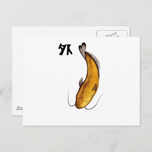 Carte Postale catfish Vide (Devant / Derrière)