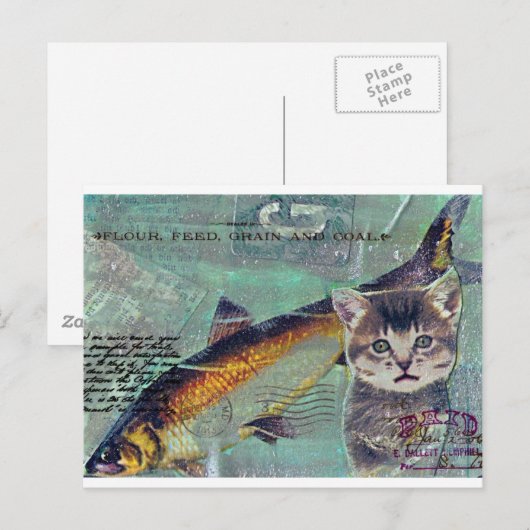 Carte Postale Catfishing (Devant / Derrière)