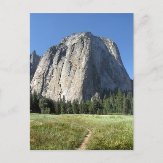 Carte Postale Cathedral Rocks - Yosemite (Devant)