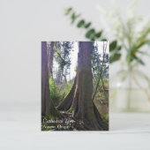 Carte Postale Cathédrale Arbre, Astoria, Oregon (Debout devant)