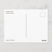 Carte Postale Cathédrale Arbre, Astoria, Oregon (Dos)