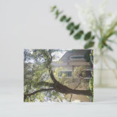 Carte Postale Cathédrale de Savannah Mossy (Debout devant)