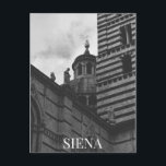 Carte Postale Cathédrale de Sienne Italie Dome BW<br><div class="desc">Cathédrale de Sienne et le Dôme à Sienne,  Florence. BW photo pour cartes postales. Peut être customisé. -sagetypo</div>