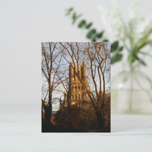 Carte Postale Cathédrale d'Ely (Debout devant)