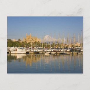 Carte Postale Cathédrale et port de plaisance de Palma, Majorque