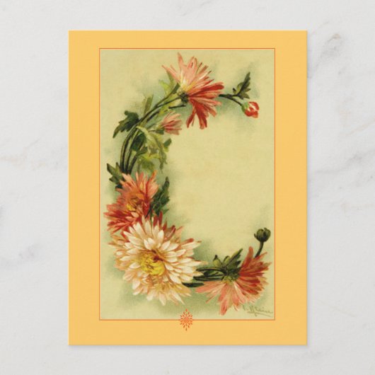Carte Postale Catherine Klein Alphabet Fleur C Chrysanthemum (Devant)