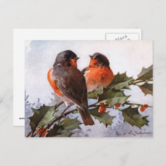 Carte Postale Catherine Klein : Robins sur Holly (Devant / Derrière)