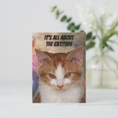 Carte postale Catitude de Reba (Debout devant)