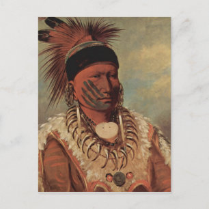 Carte Postale Catlin Native American Art