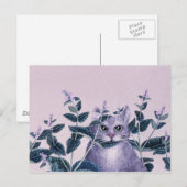 Carte Postale Catnip (Devant / Derrière)