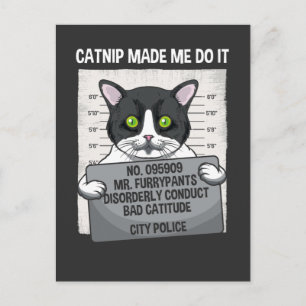 Carte Postale Catnip M'A Fait Le Faire Drôle Chat Arrêté Police