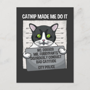 Carte Postale Catnip M'A Fait Le Faire Drôle Chat Arrêté Police