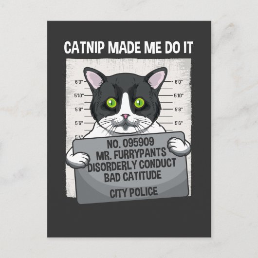 Carte Postale Catnip M'A Fait Le Faire Drôle Chat Arrêté Police (Devant)
