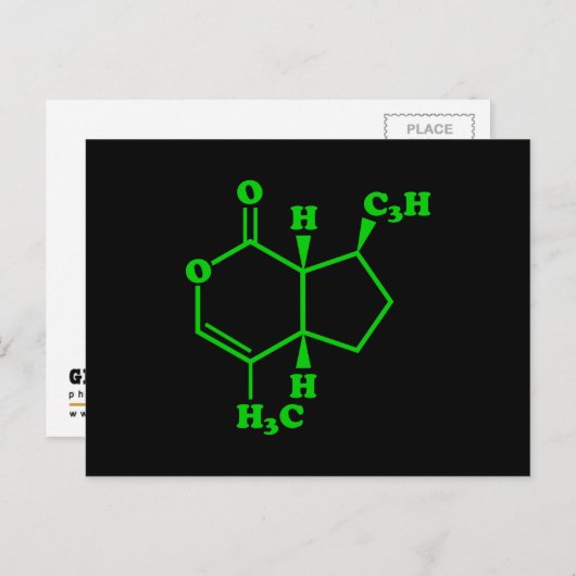 Carte Postale Catnip Nepetalactone Formule chimique moléculaire (Devant / Derrière)