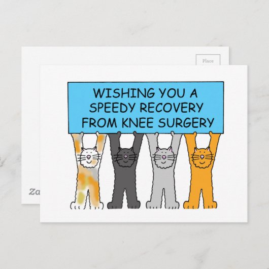 Carte Postale Cats de Knee Surgery (Devant / Derrière)