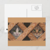 Carte Postale Cats Grey Tabby derrière la barrière de treillis c (Devant / Derrière)