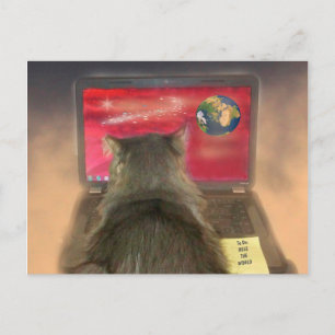 Carte Postale Cats Rule