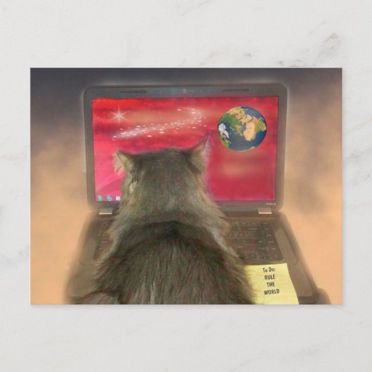 Carte Postale Cats Rule (Devant)