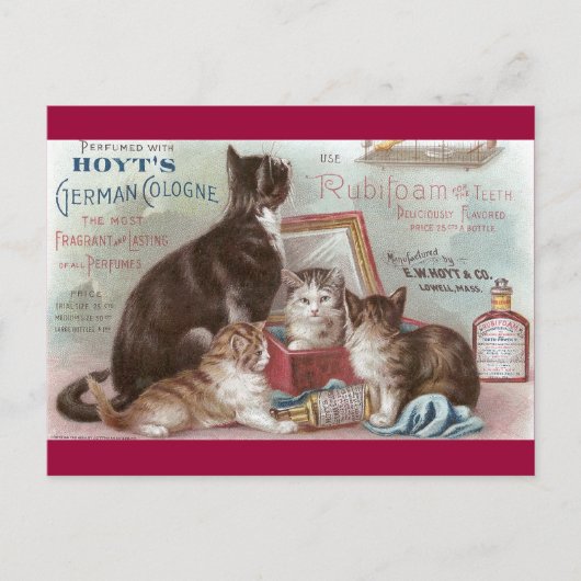 Carte Postale Cats Vendant Cologne Victorian Trade Card (Devant)