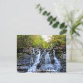 Carte postale CatSkills 1 (Debout devant)