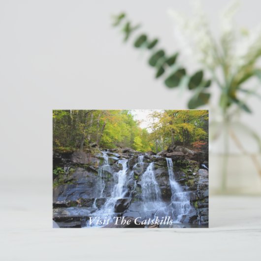 Carte postale CatSkills 1 (Debout devant)