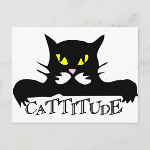 Carte Postale cattitude