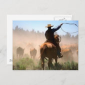 Carte Postale Cattle Drive (Devant / Derrière)