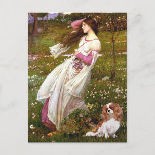 Carte Postale Cavalier 2 (Bl) - Fleurs à vent